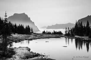 Lake above Logan Pass-1884 Lake above Logan Pass-1884